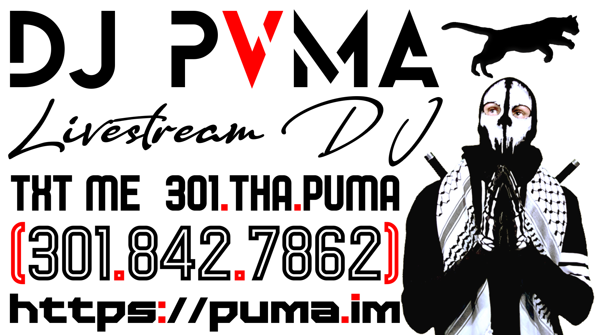 DJ Puma